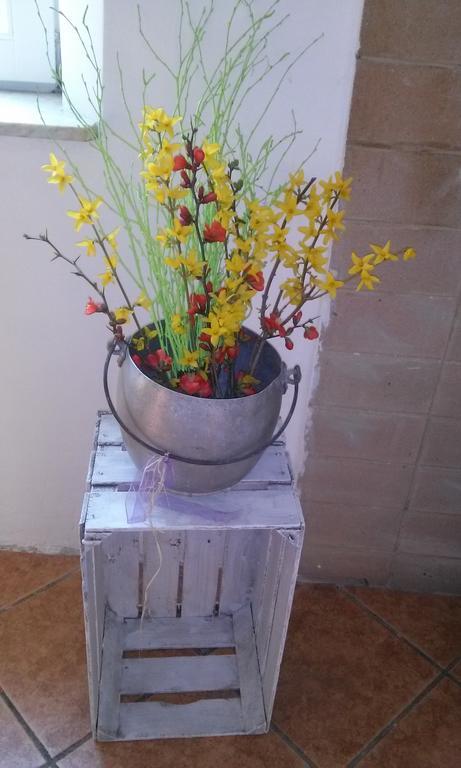 Willa Agriturismo Bosco Fiorito Múggia Zewnętrze zdjęcie