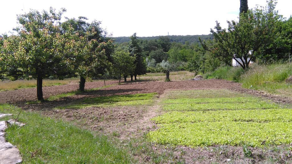 Willa Agriturismo Bosco Fiorito Múggia Zewnętrze zdjęcie